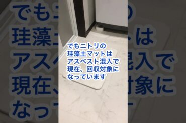 ニトリの珪藻土マットを黒柴が噛みまくっていた！アスベスト大丈夫？　#shorts