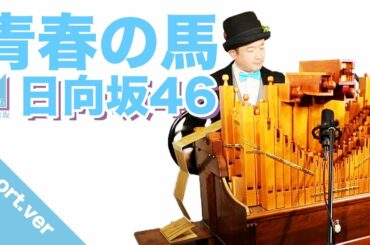 【日向坂46「青春の馬」short.ver】手回しオルガン/StreetOrgan☀️