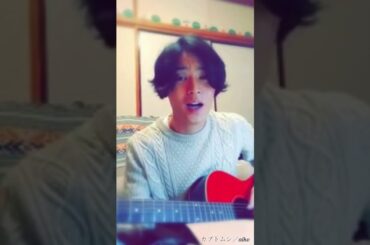 JO1 與那城奨の色気のある歌声に抱かれて眠りたい方へ(You Are The Reason／Calum Scott、カブトムシ／aiko、ひまわりの約束／秦基博)