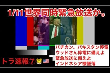 🐯🇺🇸(トラ速報⑦) 1/11ついに世界同時緊急放送か。 バチカン停電 パキスタン停電 大規模停電に備えよ 緊急放送に備えよ アメリカ大統領選挙 大統領選挙 大統領