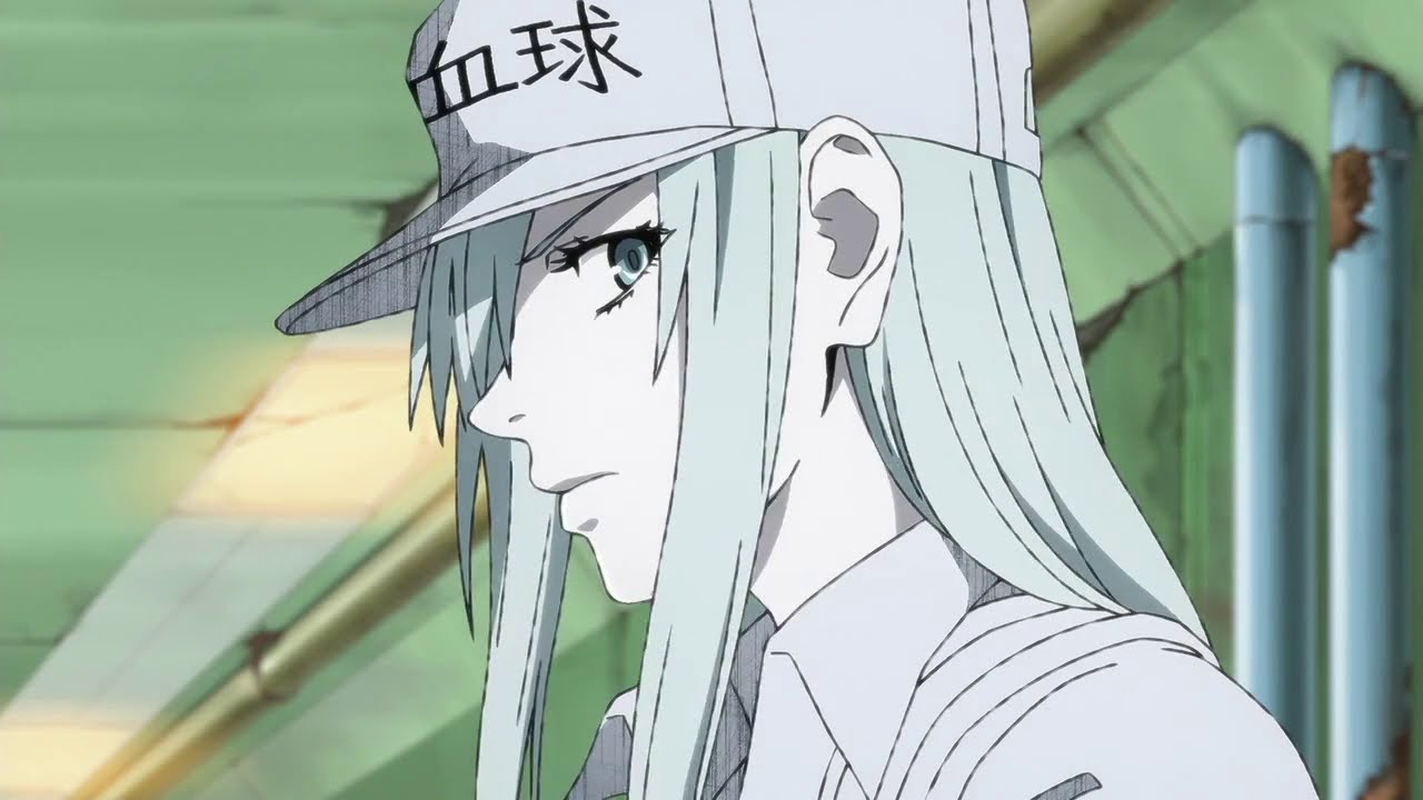 白血球 はたらく細胞BLACK 01話 TVアニメ 白血球 はたらく細胞BLACK 01話 TVアニメ