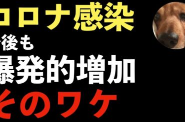 変異種でコロナ感染が爆発的に増加！イギリスから入国した人が会食して変異種をばら撒いていた！緊急事態宣言では対策が不十分！東京大学大学院教授！