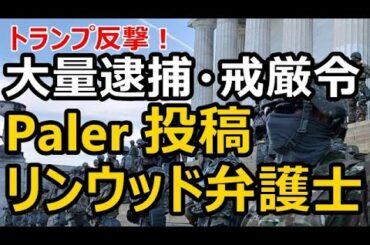 リンウッド弁護士 Parler で激白！大量逮捕、緊急放送システム、戒厳令発令へ！虎さん反撃