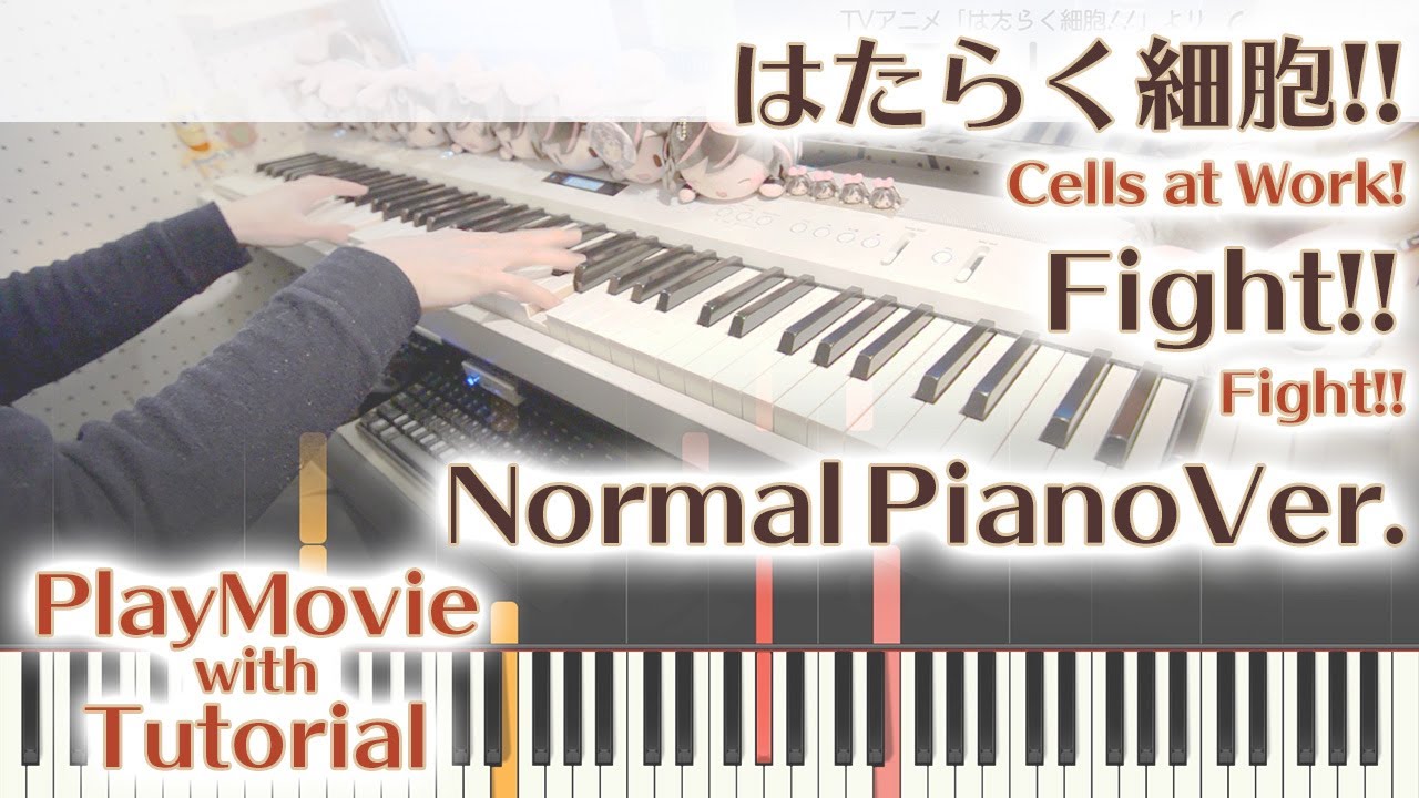 【はたらく細胞!!ED】「Fight!!」ジャストピアノ（中～上級）【Fight!! from Cells at Work!】