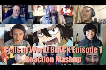 Cells At Work BLACK [はたらく細胞BLACK] Episode 1 Reaction Mashup