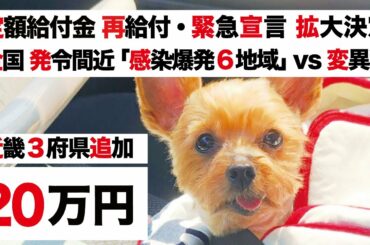 【特別定額給付金・2回目 緊急事態宣言 拡大決定】菅総理「追加・大阪 兵庫 京都」VS 全国発令「感染爆発 6県・補償と再給付」【ブラジル変異種の脅威】