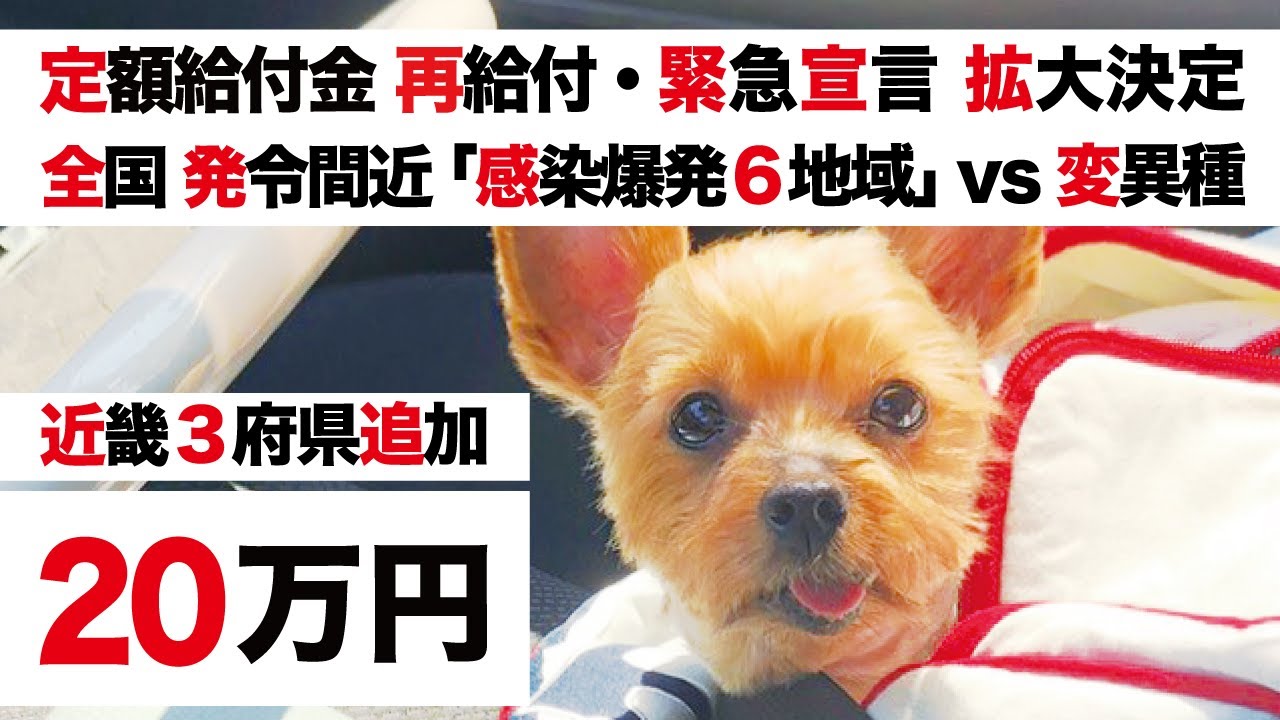 【特別定額給付金・2回目 緊急事態宣言 拡大決定】菅総理「追加・大阪 兵庫 京都」VS 全国発令「感染爆発 6県・補償と再給付」【ブラジル変異種の脅威】 【特別定額給付金・2回目 緊急事態宣言 拡大決定】菅総理「追加・大阪 兵庫 京都」VS 全国発令「感染爆発 6県・補償と再給付」【ブラジル変異種の脅威】