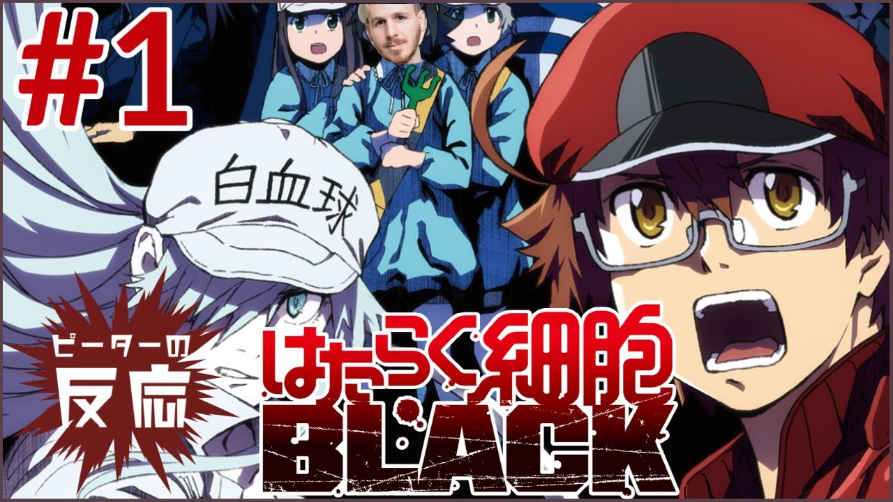 ピーターの反応 【はたらく細胞BLACK】 1話 Hataraku Saibo Black ep 1 アニメリアクション ピーターの反応 【はたらく細胞BLACK】 1話 Hataraku Saibo Black ep 1 アニメリアクション