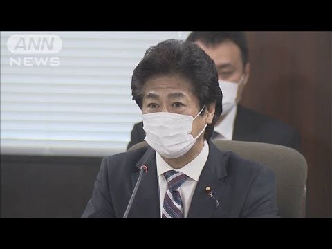 全国の重症者900人に　医療体制や変異種など分析(2021年1月13日)