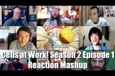 Cells at Work! Season 2 [はたらく細胞!! 2] Episode 1 | Reaction Mashup