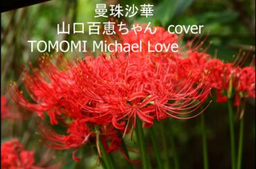 曼珠沙華　山口百恵ちゃん　cover  TOMOMI Michael Love