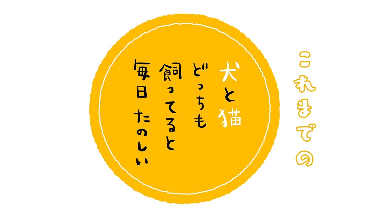 TVアニメ「犬と猫どっちも飼ってると毎日たのしい」PV第3弾 TVアニメ「犬と猫どっちも飼ってると毎日たのしい」PV第3弾