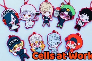 JAPAN'S GACHAPON | Cells at Work!!  Rubber Keychain !! FULL | Hataraku Saibou はたらく細胞!! カプセルラバーマスコット2