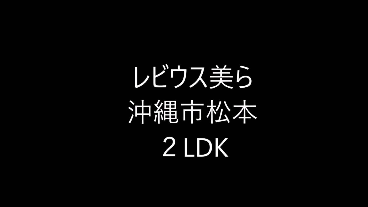 レビウス美ら301