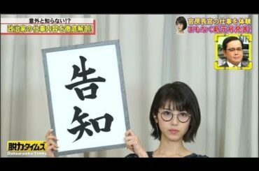 「浜辺美波」意外と知らない！？政治家の仕事内容を徹底解割!