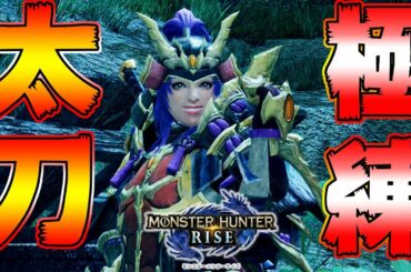 【モンハンライズ】太刀を最短で極める練習方法＆意識することまとめ！　太刀講座2【MHRise:モンスターハンターライズ】