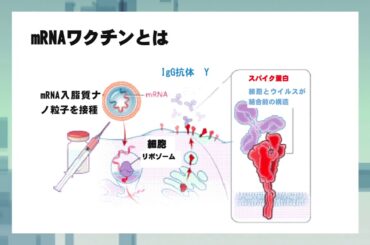 20210116 新型コロナウイルスについて　鎌倉市医師会山口泰会長