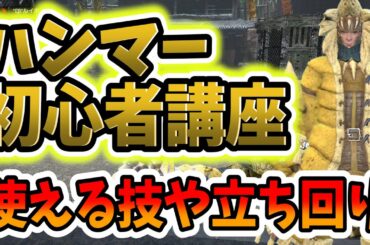 【モンハンライズ】ハンマー初心者講座！初心者向けのハンマーの使い方！覚えるべき技、立ち回りの基本の紹介！【MHR/モンスターハンターライズ/体験版】
