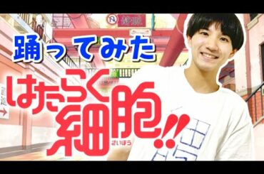 天使系男子がはたらく細胞!!OPを踊ってみた【矢澤ないん】#Shorts