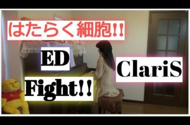 はたらく細胞!! ED 「Fight!!」ClariS 【HaTaRaKu SaiBou】 Ending 【Cells at Work!】歌詞付き字幕