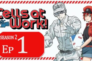 はたらく細胞 2期 1話  ~ Cells at Work Season 2 Episode 1 English Subbed