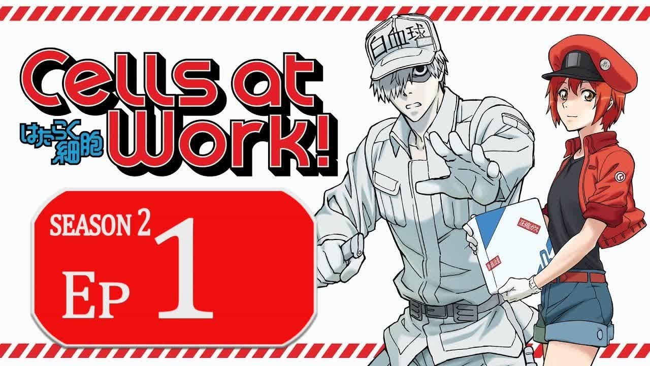 はたらく細胞 2期 1話 ~ Cells at Work Season 2 Episode 1 English Subbed はたらく細胞 2期 1話 ~ Cells at Work Season 2 Episode 1 English Subbed