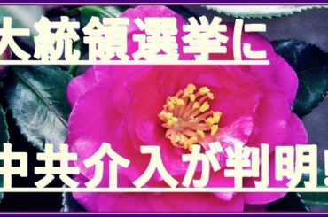大統領選挙に中共介入が判明!!ロシア軍が中露国境に１2万人の大部隊を配備ｖｓアメリカ国境に中国人民解放軍25 万人が配備、