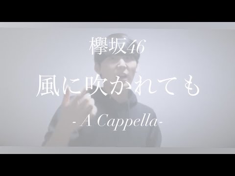 【1人アカペラ】風に吹かれても / 欅坂46【covered by Kota.H】