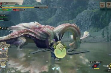 もこう VS タマミツネ  太刀 モンハンライズ