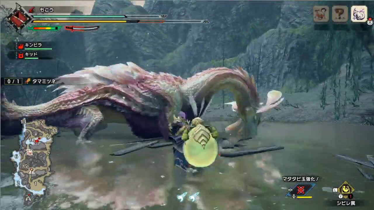 もこう VS タマミツネ 太刀 モンハンライズ もこう VS タマミツネ 太刀 モンハンライズ