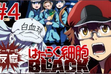 ピーターの反応 【はたらく細胞BLACK】 4話 Hataraku Saibo Black ep 4 アニメリアクション