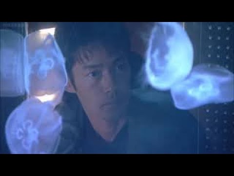 流れ星80(竹野内豊・上戸彩) 流れ星80(竹野内豊・上戸彩)