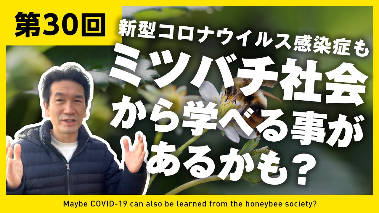 【第30回】新型コロナウイルス感染症もミツバチ社会から学べる事があるかも?【2021年もよろしくお願いします】 【第30回】新型コロナウイルス感染症もミツバチ社会から学べる事があるかも?【2021年もよろしくお願いします】