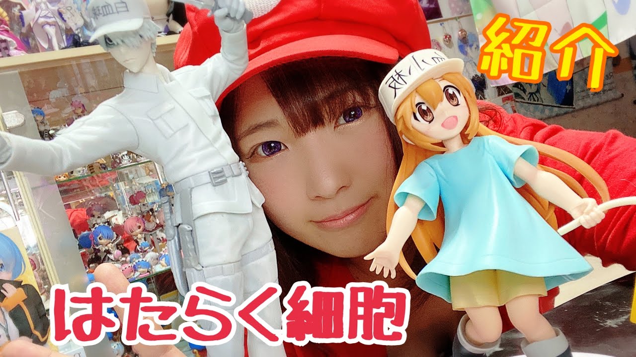 【はたらく細胞】フィギュア【グッズ紹介】寝そべり #はたらく細胞 #白血球 #赤血球 #血小板 【はたらく細胞】フィギュア【グッズ紹介】寝そべり #はたらく細胞 #白血球 #赤血球 #血小板