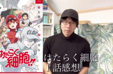 はたらく細胞　１話を見ました。これは傑作です！