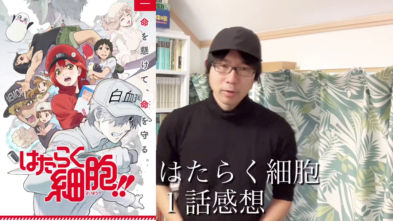 はたらく細胞 1話を見ました。これは傑作です! はたらく細胞 1話を見ました。これは傑作です!