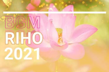 【作業用BGM】吉岡里帆（Yoshioka Riho）のイメージ　ジャズ　2021年1月冬