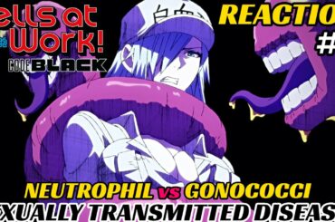 SEX EDUCATION 2 | Hataraku Saibou BLACK! EP4 |Reaction - Reaccion| Las ETC | Always Use Protection!