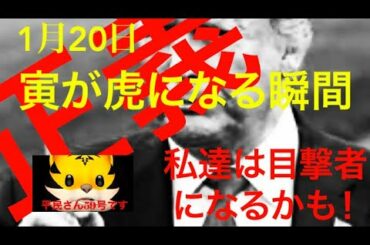 [正義]  １月２０日あなたは寅が虎になる瞬間の目撃者になるかも？