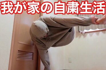 【大型犬】緊急事態宣言中の自粛生活に壊れたママに構ってあげる英国ゴールデンレトリバーのアース、ダルメシアンのマヒナ、保護犬のプラウ