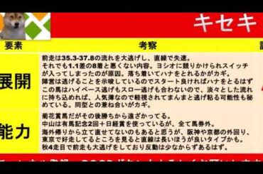 【有馬記念2020】爆走穴馬公開！クロノジェネシスら有力馬に割って入る可能性が高いのはあの馬だ！競馬予想TV【☆te-chan☆】