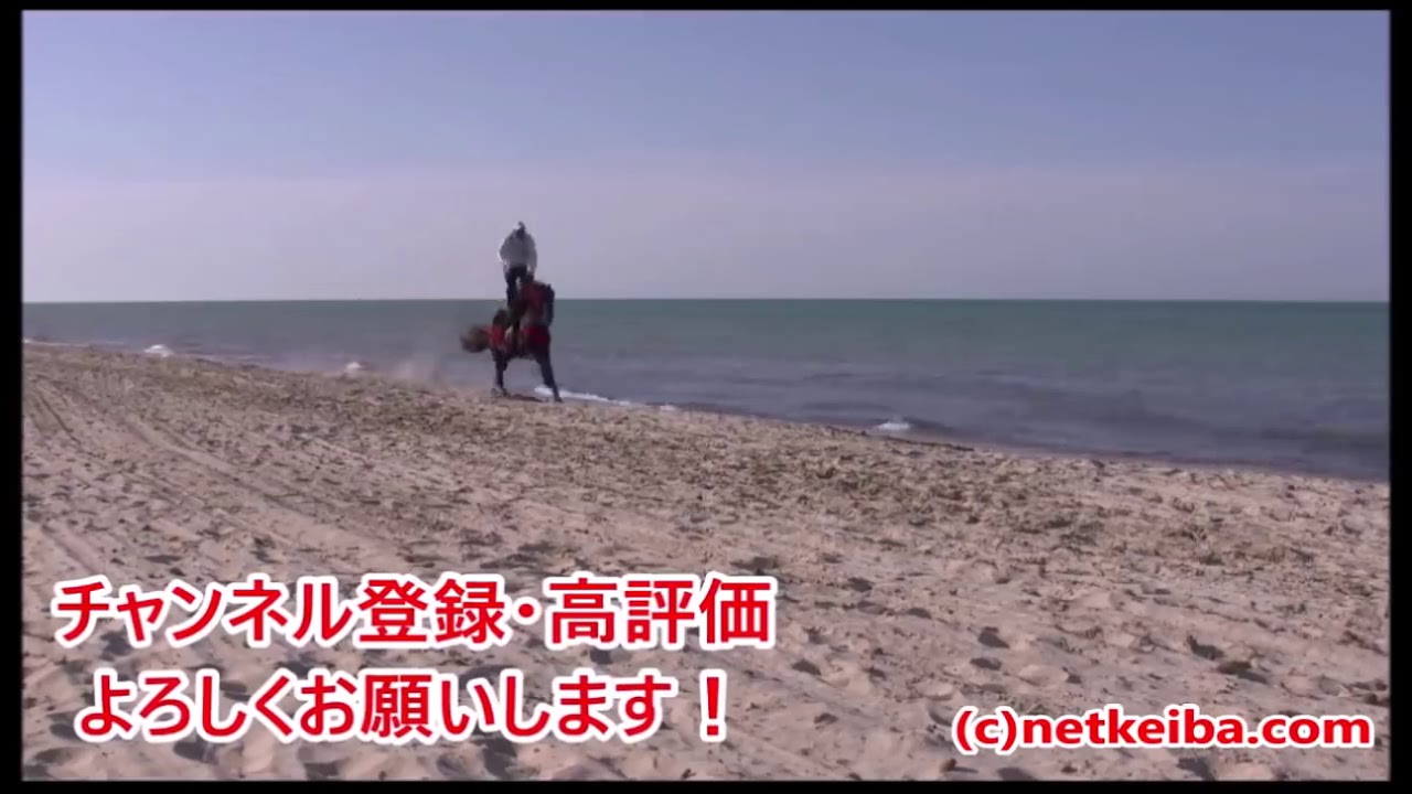 【ホープフルステークス2020】最終結論!有馬記念2020に向けて良い流れを作る。前走内容抜群のあの馬から勝負だ!競馬予想TV【☆te-chan☆】 【ホープフルステークス2020】最終結論!有馬記念2020に向けて良い流れを作る。前走内容抜群のあの馬から勝負だ!競馬予想TV【☆te-chan☆】