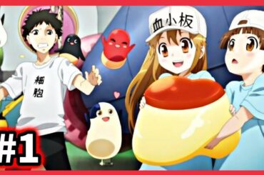 【はたらく細胞2期1話感想】いきなり大好きな血小板ちゃん達大大活躍！