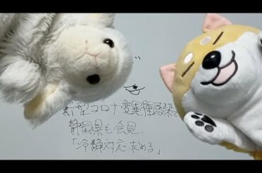 コロナ変異種感染　静岡県も会見、冷静対応求める　にしばくふが物申す。[しばくふタックル]