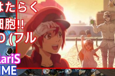 ClariS Fight フル | はたらく細胞 2期 ED 【 ドラム 叩いてみた 】