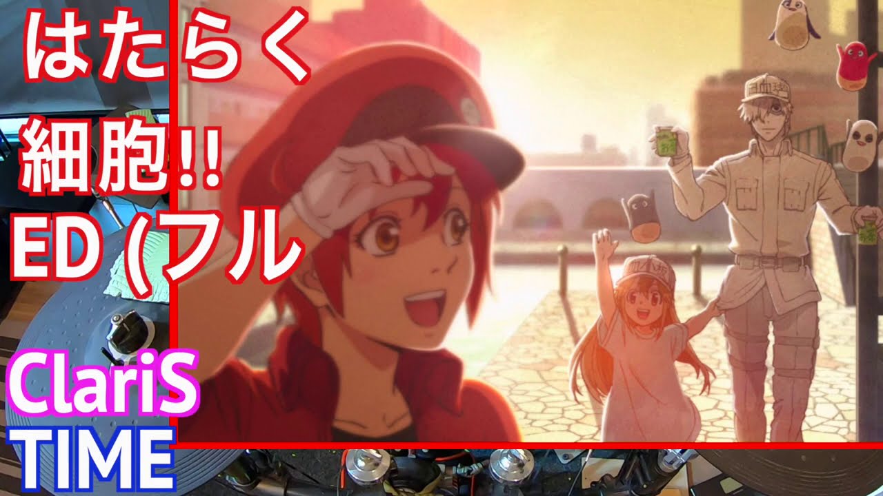 ClariS Fight フル | はたらく細胞 2期 ED 【 ドラム 叩いてみた 】 ClariS Fight フル | はたらく細胞 2期 ED 【 ドラム 叩いてみた 】