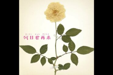 高畑充希 (Mitsuki Takahata) - 何日君再来