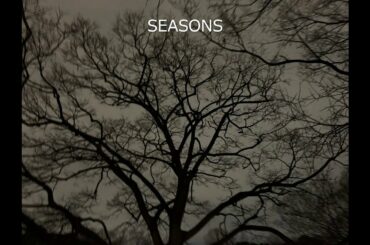 SEASONS（浜崎あゆみ）：（Chromatic harmonica）