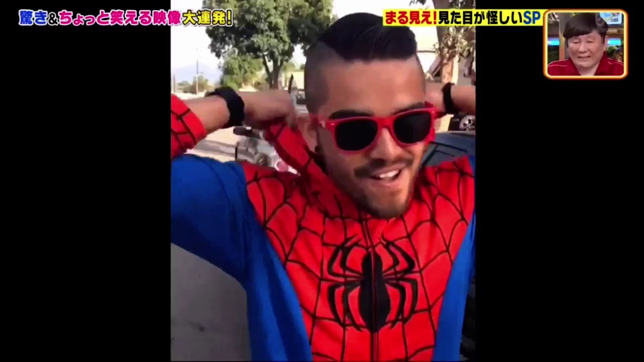 世界まる見え！テレビ特捜部 見た目が怪しい奴らSP　特殊メイクで猫や豚に変身！爆笑お見合い番組　まるで恐竜！ウロコを持つ珍獣センザンコウ　ハロウィーンの悪夢！水原希子もあ然