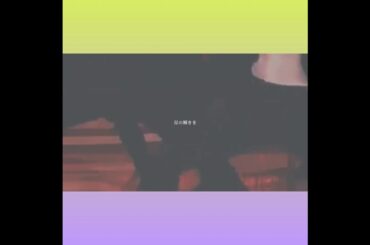 #思い出 (｀□´)ガオー❗  河野純喜『こうのじゅんき』